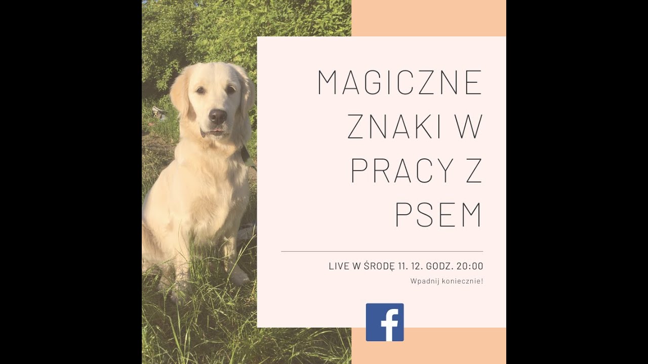 Magiczne 