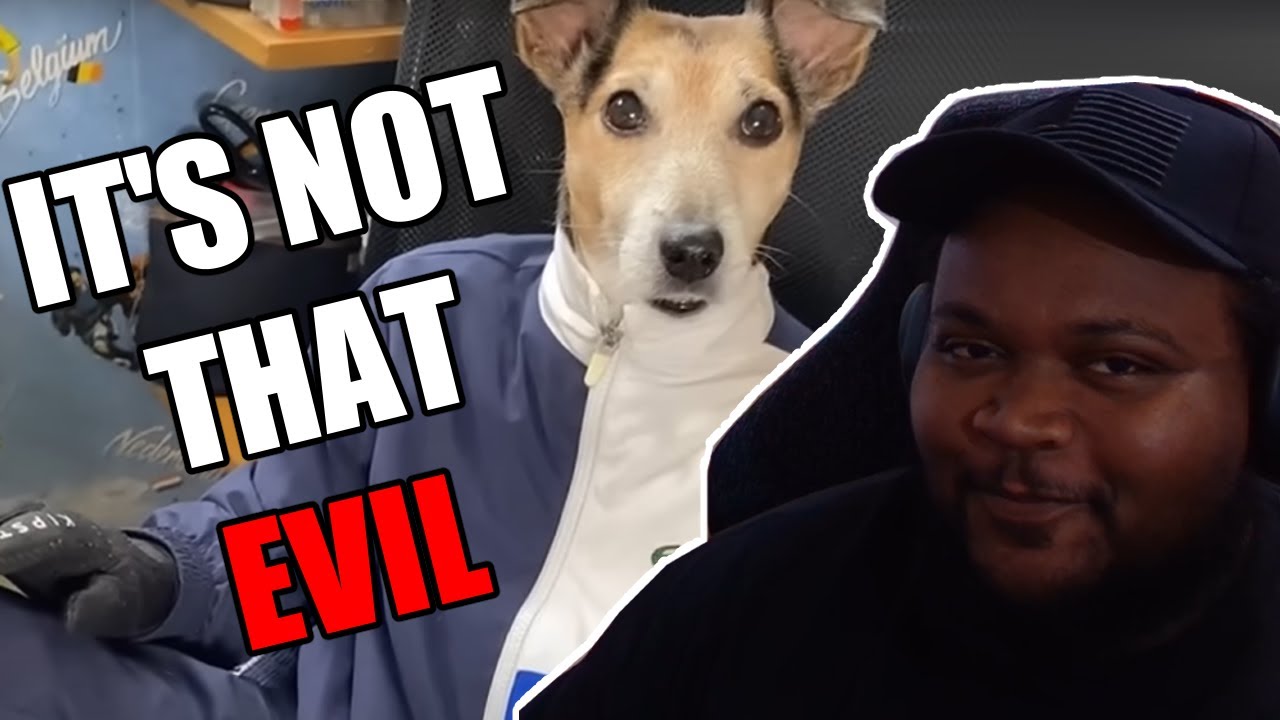 This is Actually Evil Your Daily Dose Of Internet Reaction