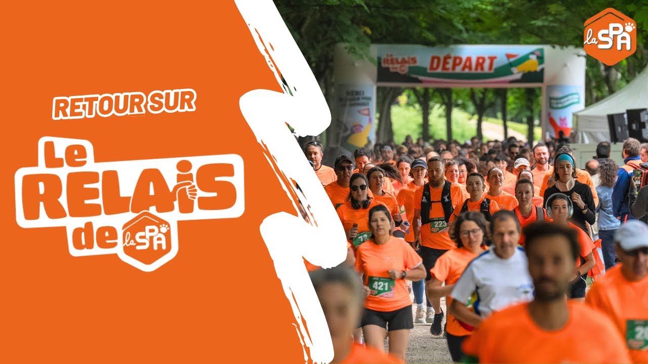Le Relais de la SPA 🐾 Retour sur la première édition 🐕🏃