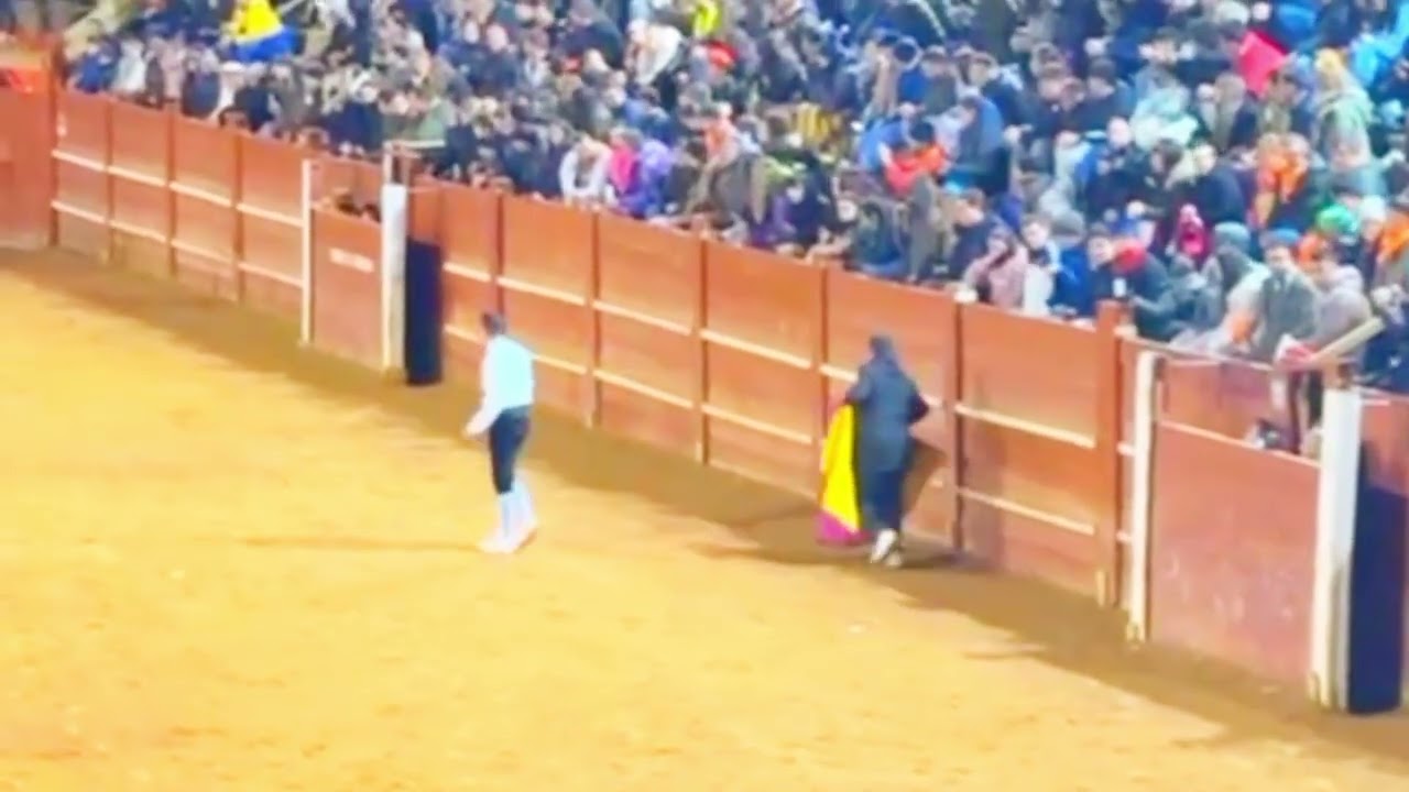 CARNAVAL DE TOROS CIUDAD RODRIGO🐂🧎🤸🏃🏆💖 TRADICIÓN CERRANDO A ESTE BRAVO EN LA FINAL 🔚💥🔝 #videoviral 
