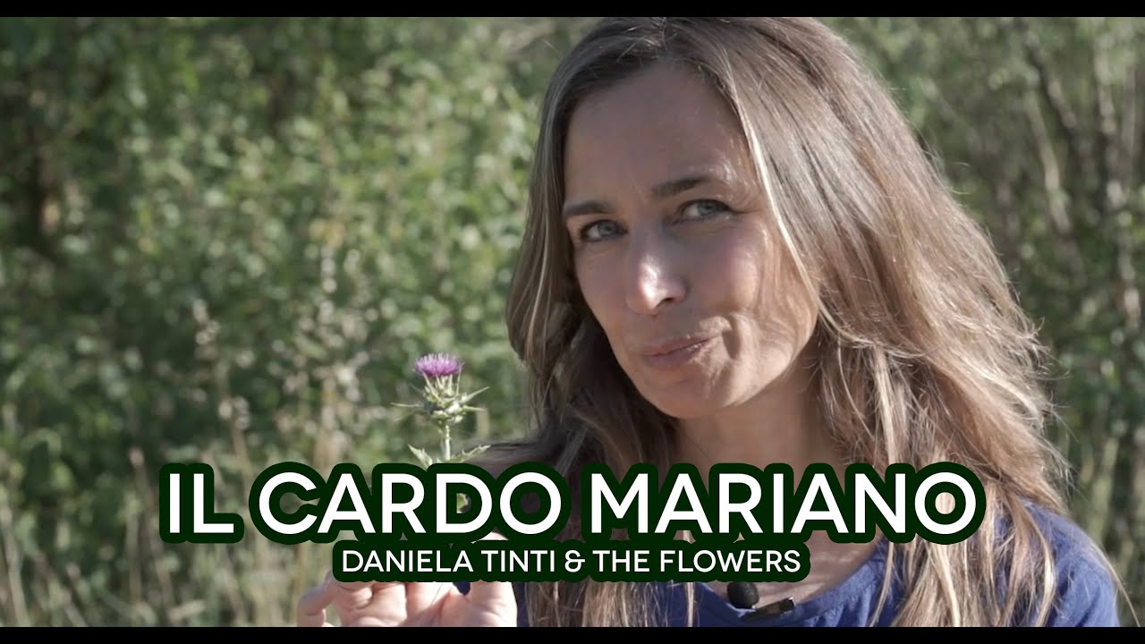 Il Cardo Mariano