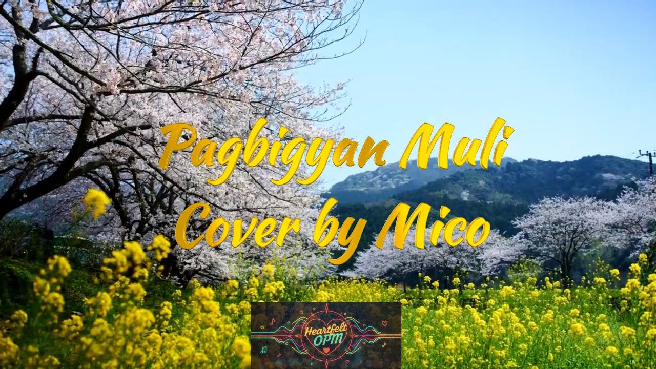Pagbigyan Muli, Erik Santos Cover by Mico
