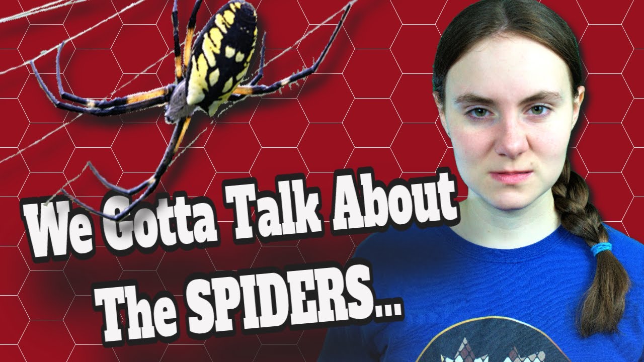 Spiders Think With Their Webs?!?!