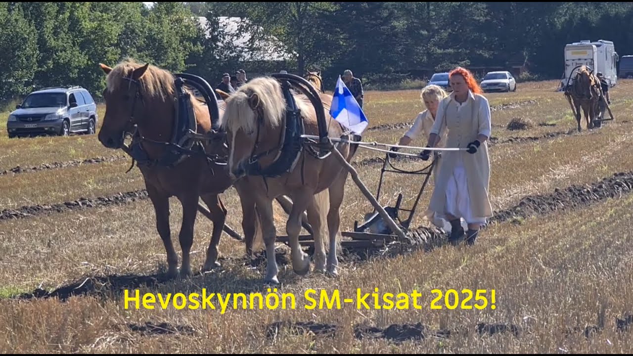 Hevoskynnön SM-kisat 6.9.2025.