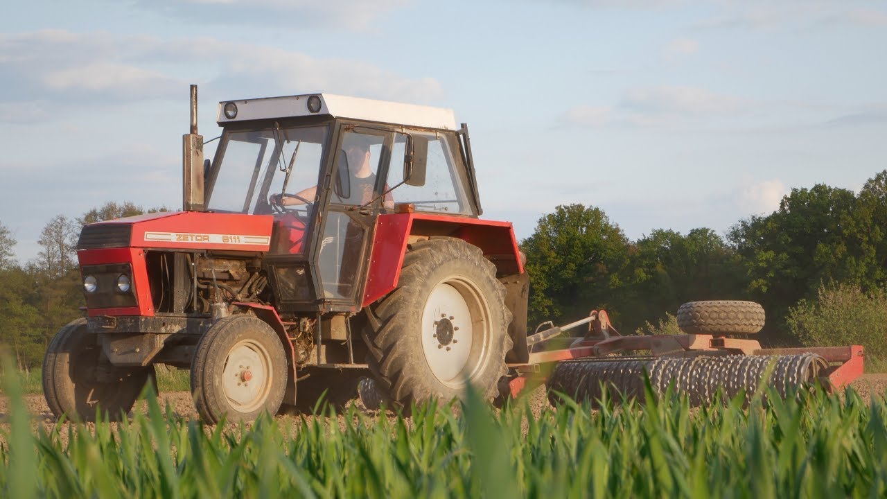 🇵🇱 Wałowanie 2024 😮Zetor 8111 w akcji ☆ Dźwięk silnika ☆ Wiosna 2024🌿