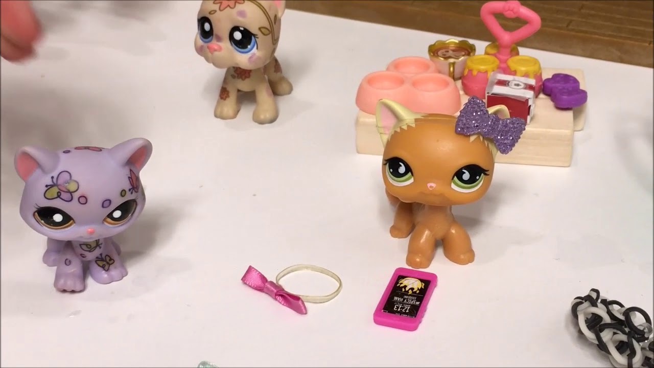 LPS THE HATED CHILD