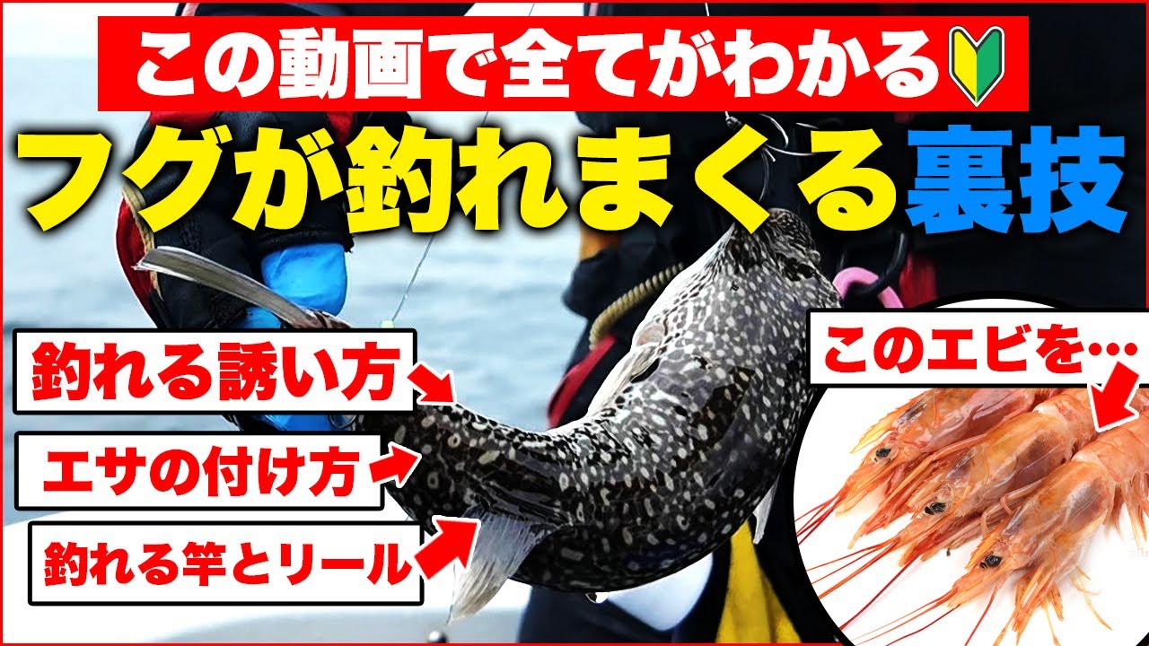 【絶対に釣れる究極の裏技】カットウフグ釣りの「全て」がこの動画でわかります。