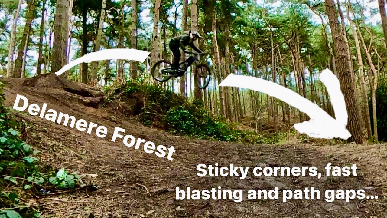 Dealmere Forest! Loops, steeps and path gaps!