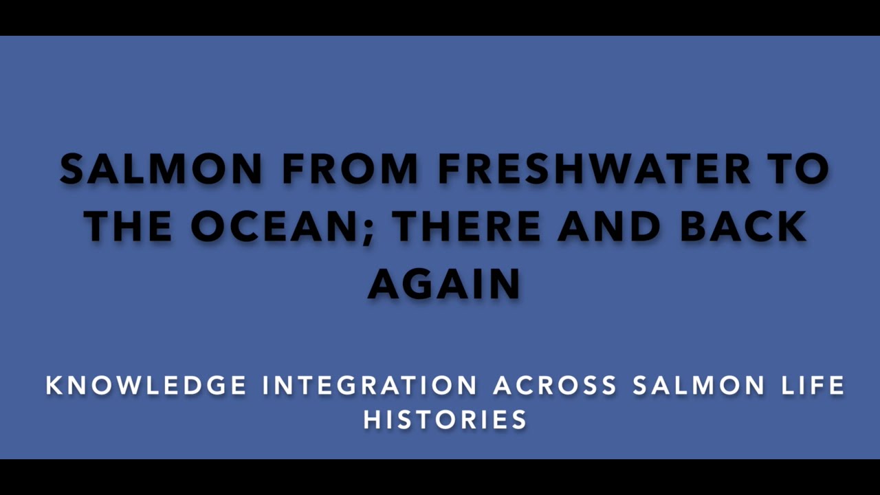 Salmon from freshwater to the ocean: there and back again