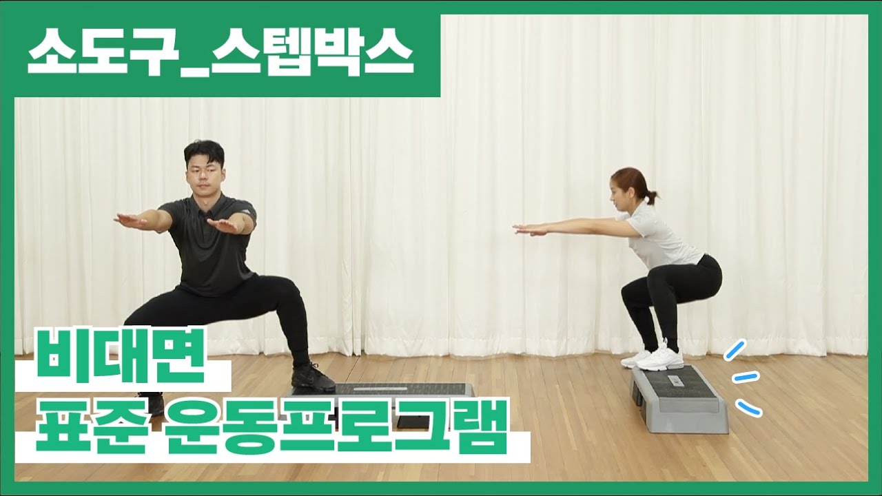 [소도구 운동] 스텝박스(stepbox) 활용 전신 근력운동 홈트레이닝💪🏻 (6min)