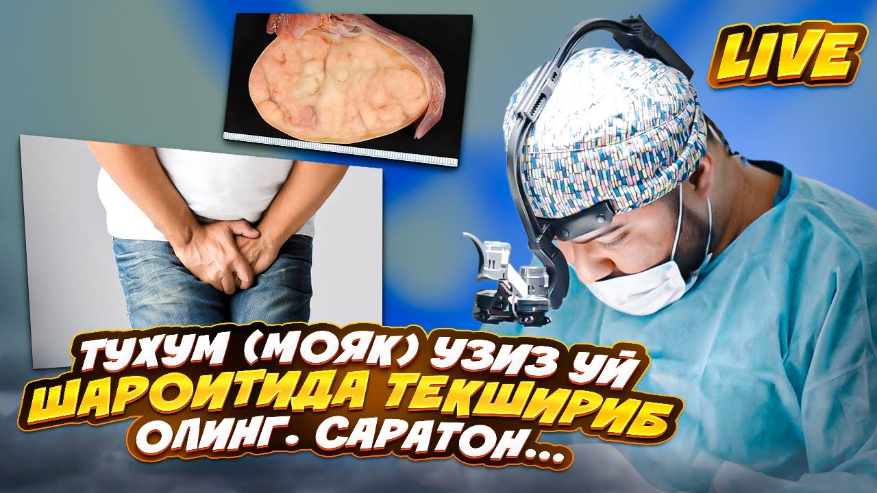 Ешларда учрайдигон тухум рак касаллиги
