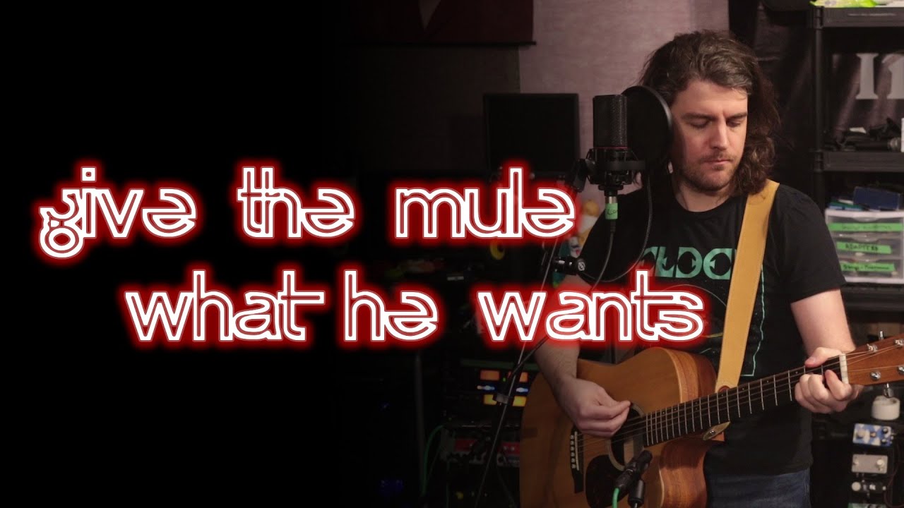 Give the Mule What He Wants - Acoustic Queens of the Stone Age Cover