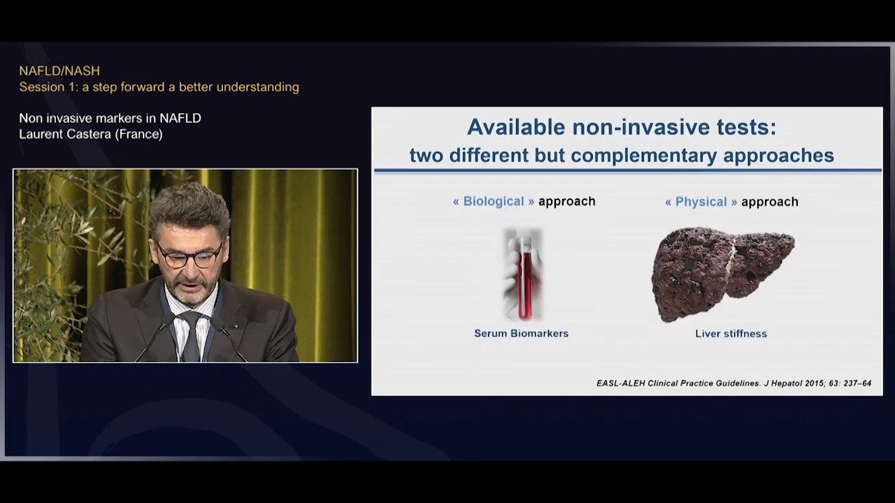 Non invasive markers in NAFLD - Laurent CASTERA - PHC 2020