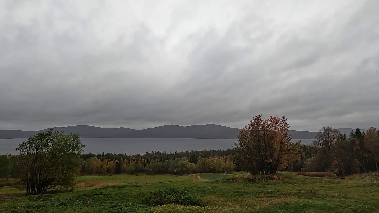 Windy Autumn | 1 Hour Calming Piano | Norwegian Wilderness