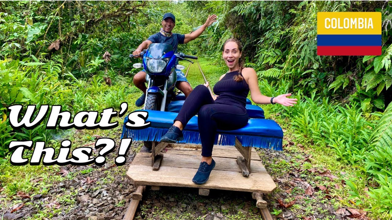 Jungle Life - Lost in the Jungle - San Cipriano - Colombia