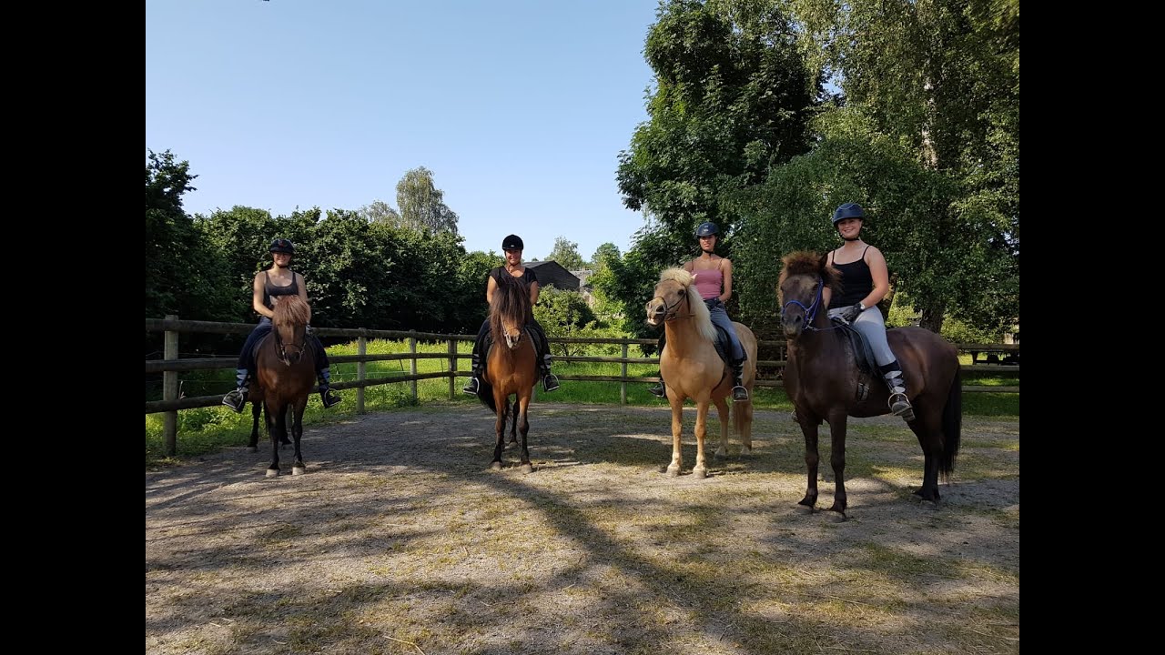 Buitenrit op IJslanders in de Ardennen!