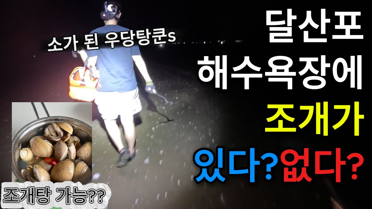 HRJ.2 10월 달산포 조개캐기, 과연 조황은?? (feat. 해감하는 법)