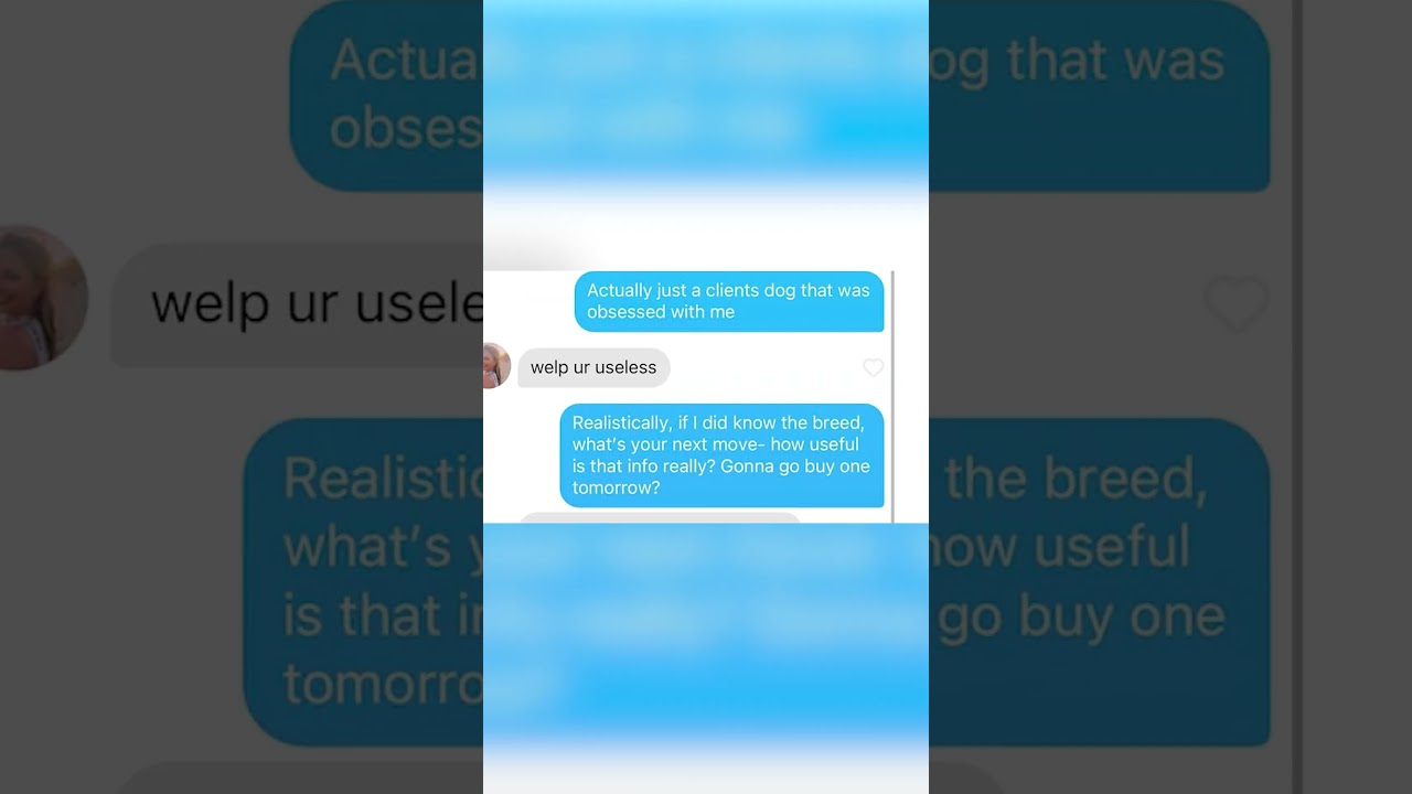 what kind of dog is that? #reddit #niceguy #funny