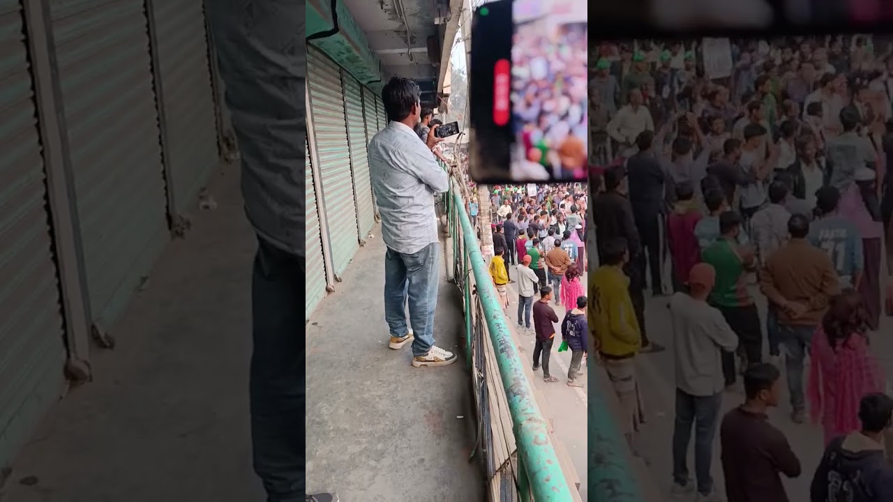 নীলফামারী বি এন পি বিশাল বড় মিশিল