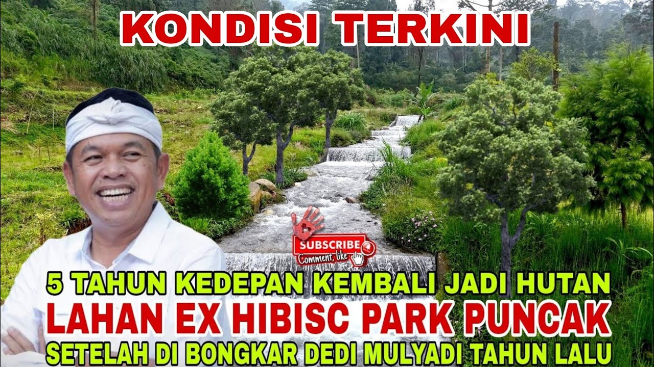 dulu tempat liburan orang kaya‼️sekarang lahan bekas hibisc park puncak bogor jadi hutan lagi