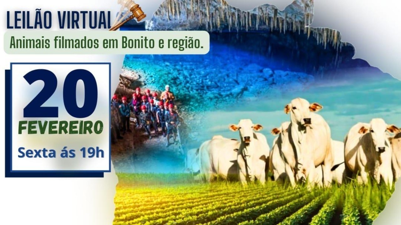 186° LEILÃO VIRTUAL CB LEILÕES - BONITO/MS - RURAL PLAY