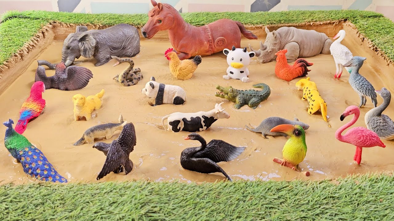 Forest Friends Need Mud: A Birds, Farm and Forest Animals Out of the Mud!