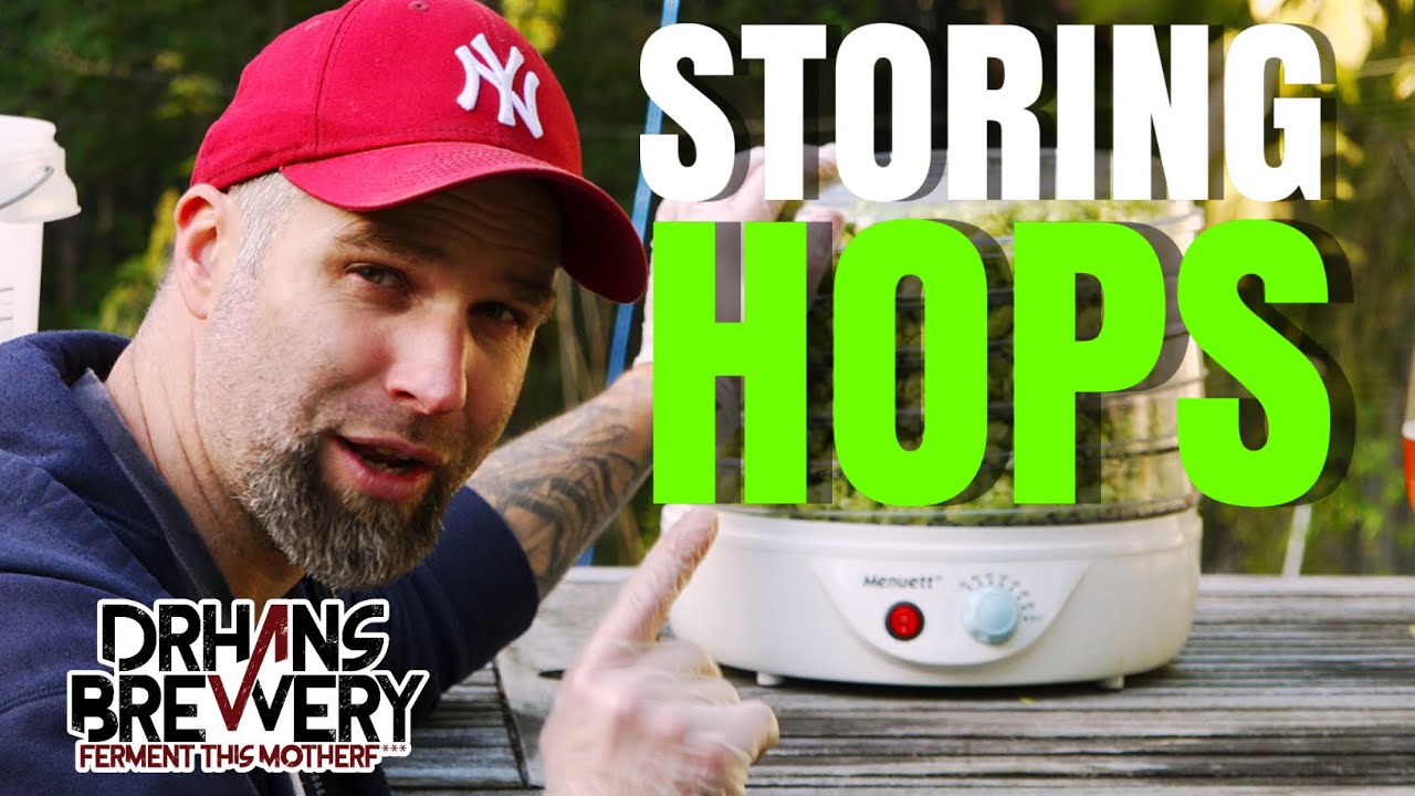 Best Way To Store Hops at Home - Growing Hops  101 - Part 5