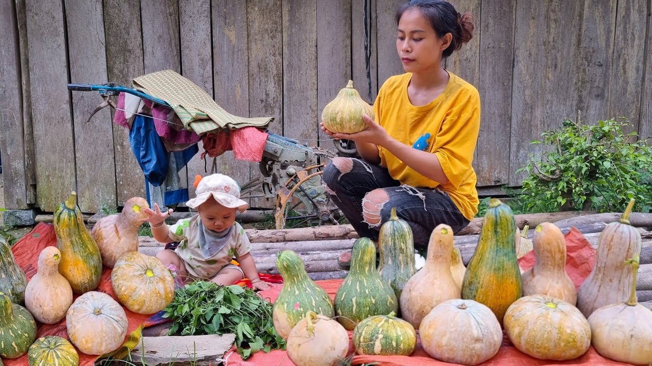 single mom : harvest yellow squash to sell, pick wild vegetables, cut banana intestines,