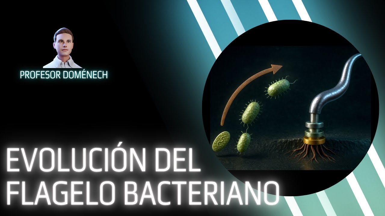 ¿Cómo evolucionó el flagelo bacteriano? La ciencia detrás de su origen