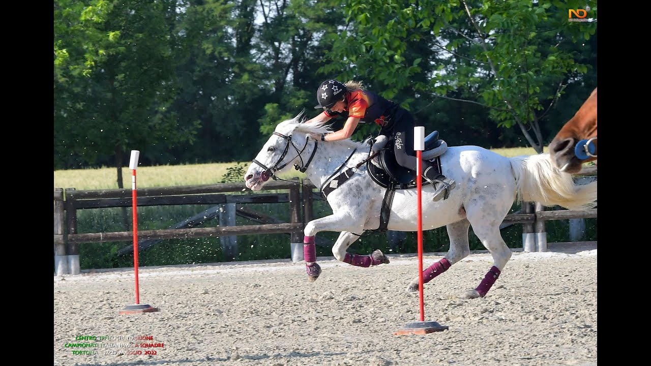 mounted games - Season 2022 - Rebecca e Apache