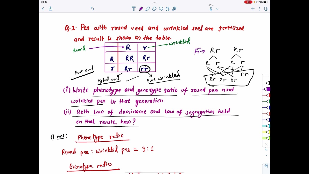 Class 10 Science | Heredity Long Question Solutions | SEE Science Exam Solution | SEE Biology