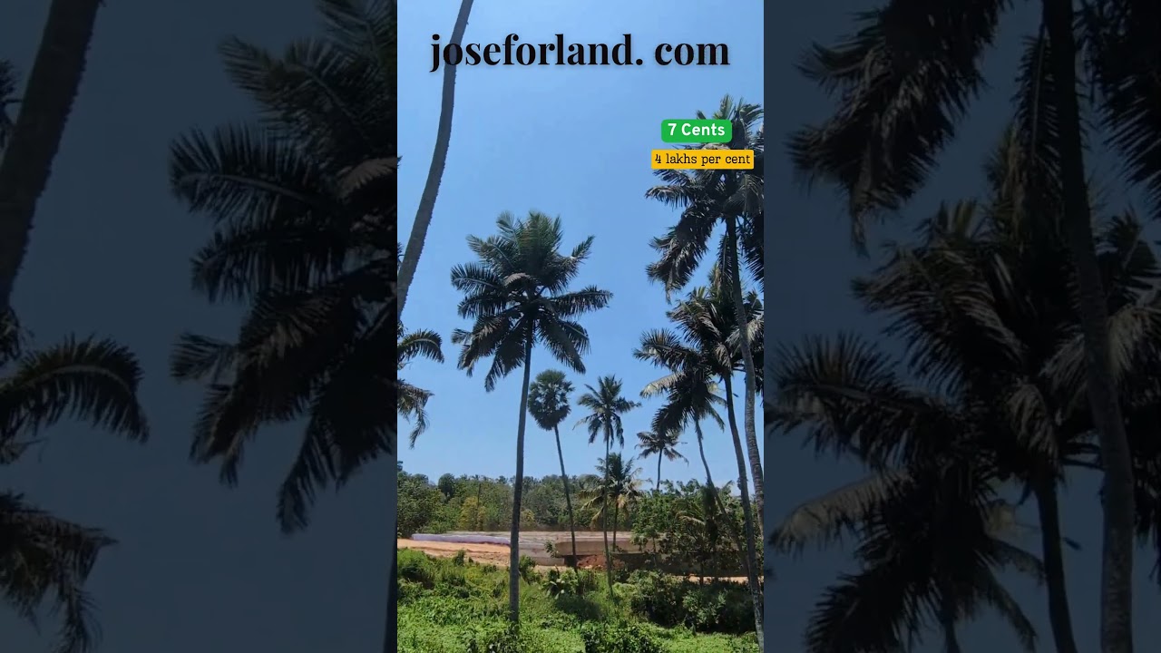 Location: Thuckalay 📏7 Cents 🔔4 lakhs per cent 📞Call 9994488490 #joseforland