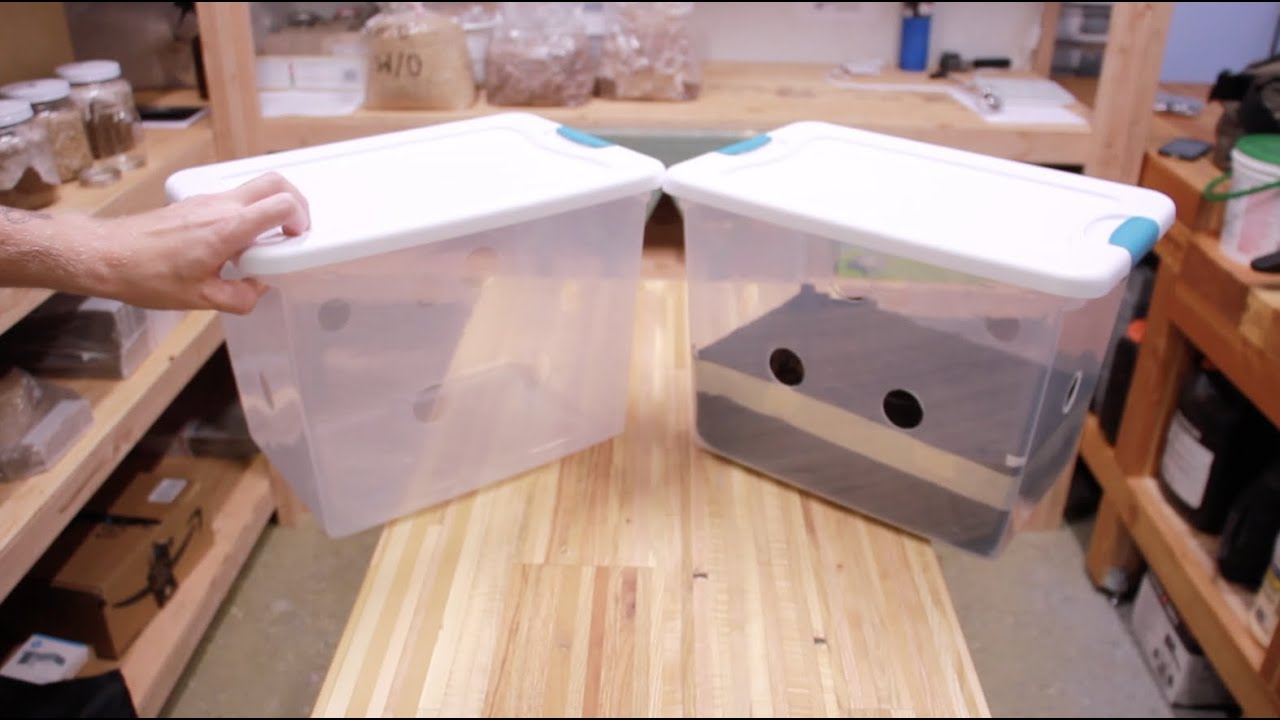 Everything MonoTub - How to Line Your Monotub With Plastic - Prevent Side Pins for Growing Mushrooms