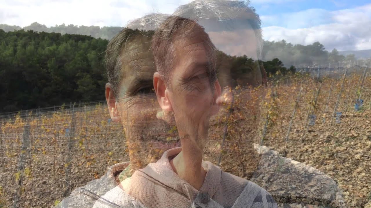 La Madura - Sélection massale ou clone ?