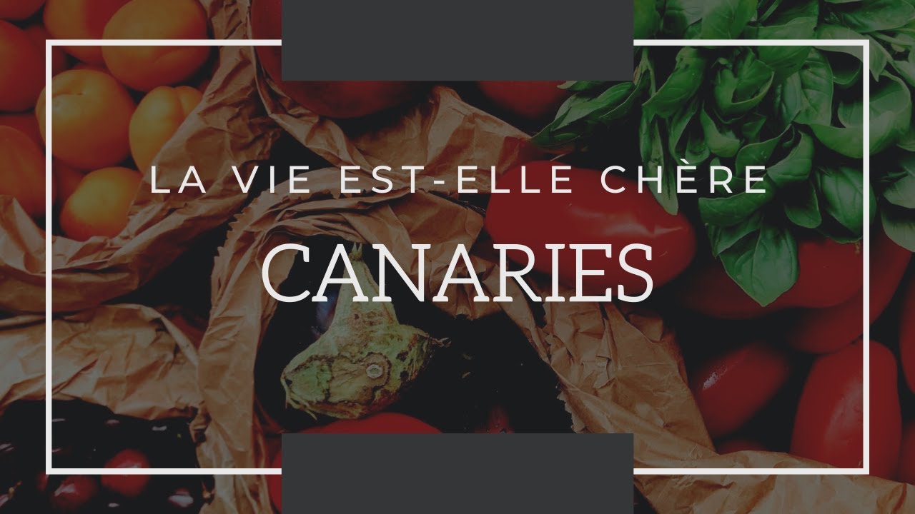 175 🇪🇸🇮🇨 La vie est elle chère aux Canaries (Tenerife) ?