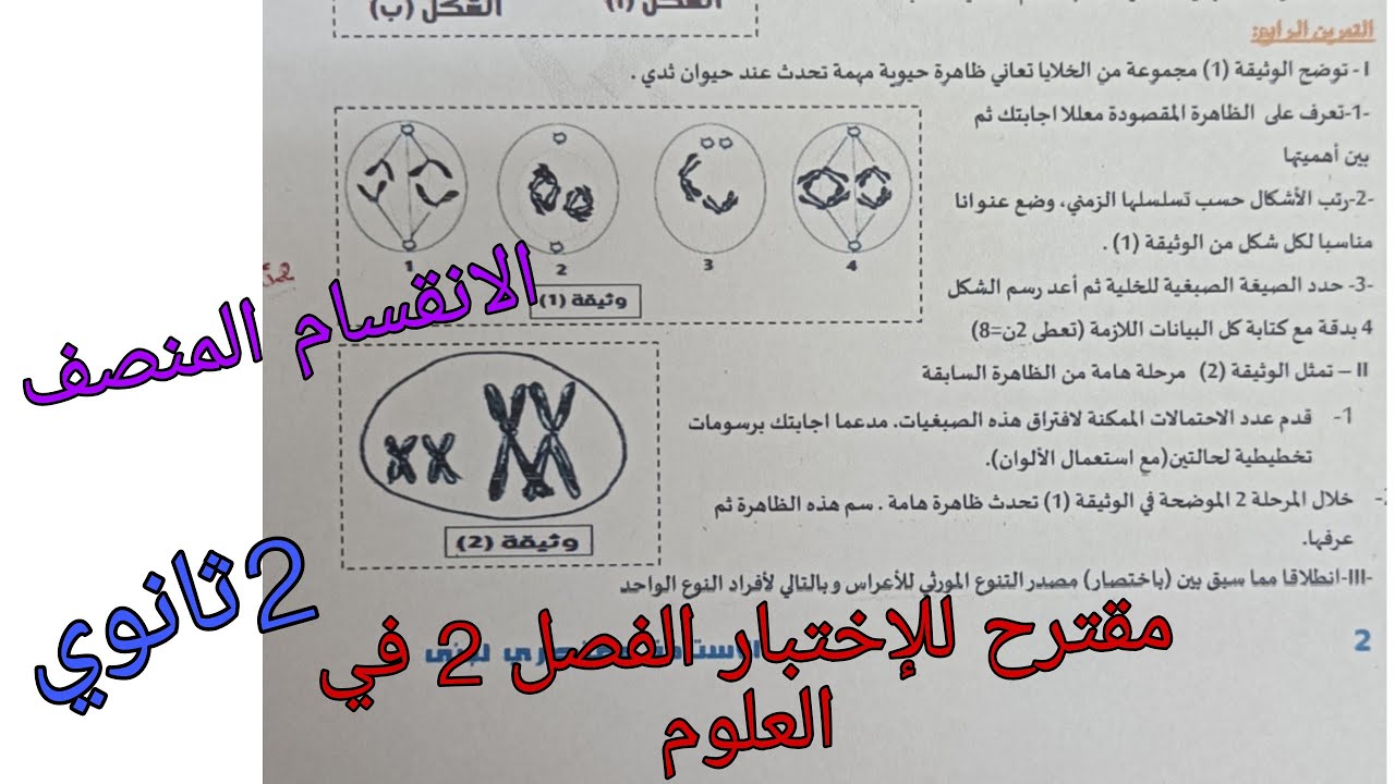 مقترح للإختبار الفصل 2 في العلوم للسنة الثانية ثانوي حول الانقسام المنصف