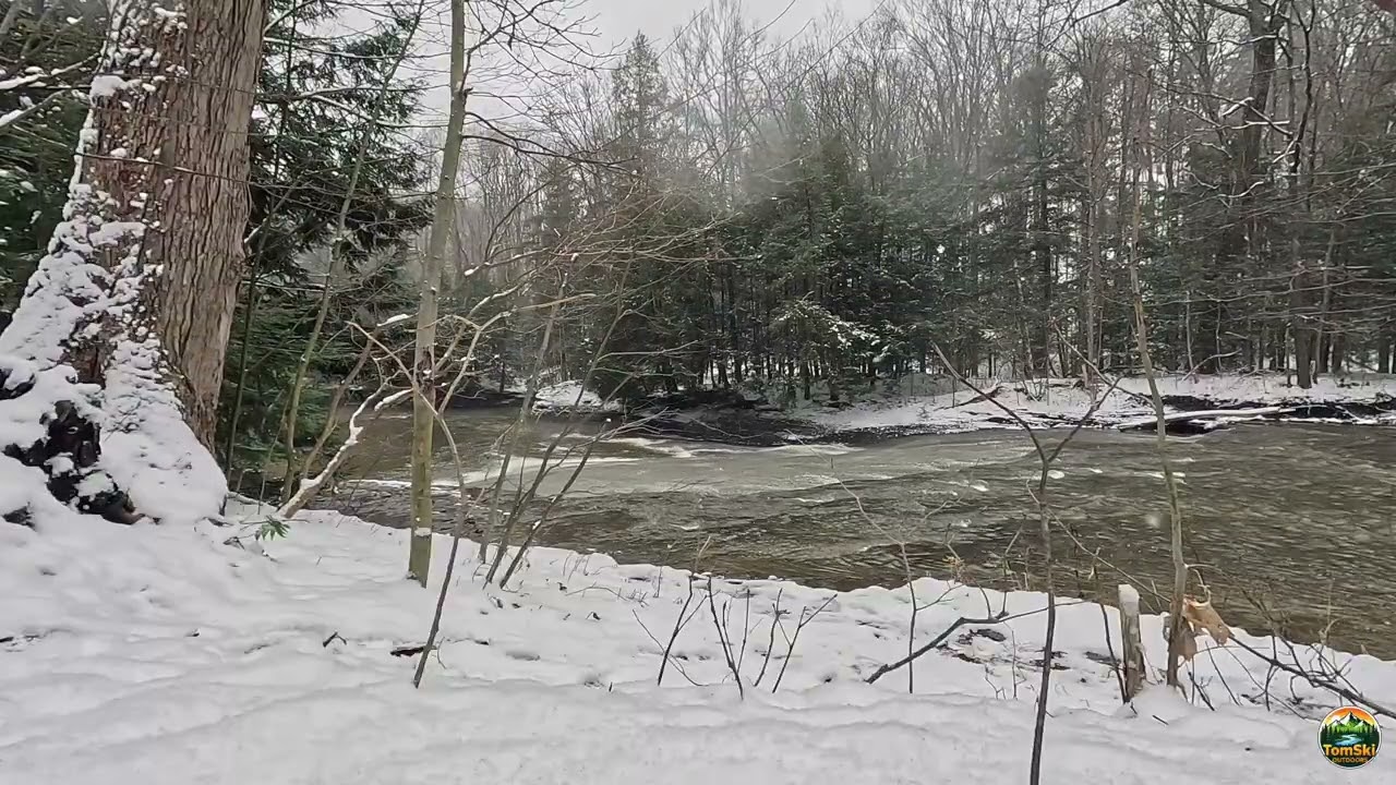 4K Nature Scene - The Slide