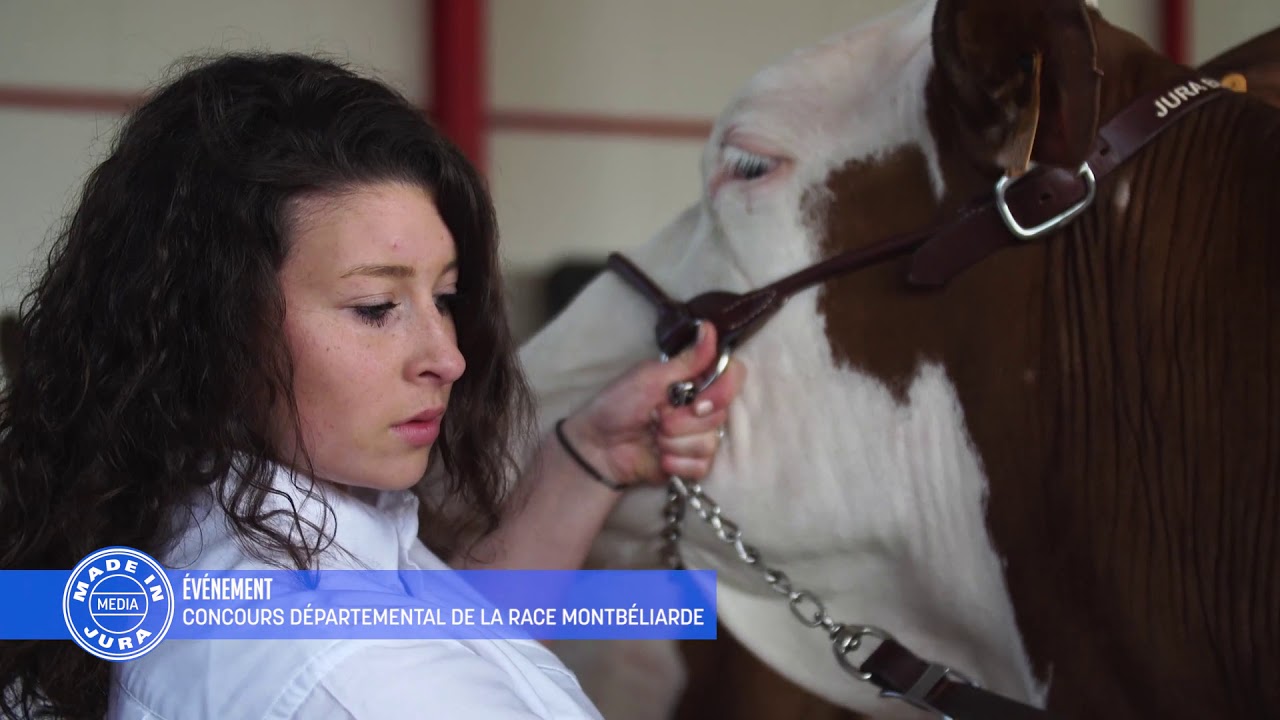 EVENEMENT : CONCOURS MONTBELIARDE - JURA