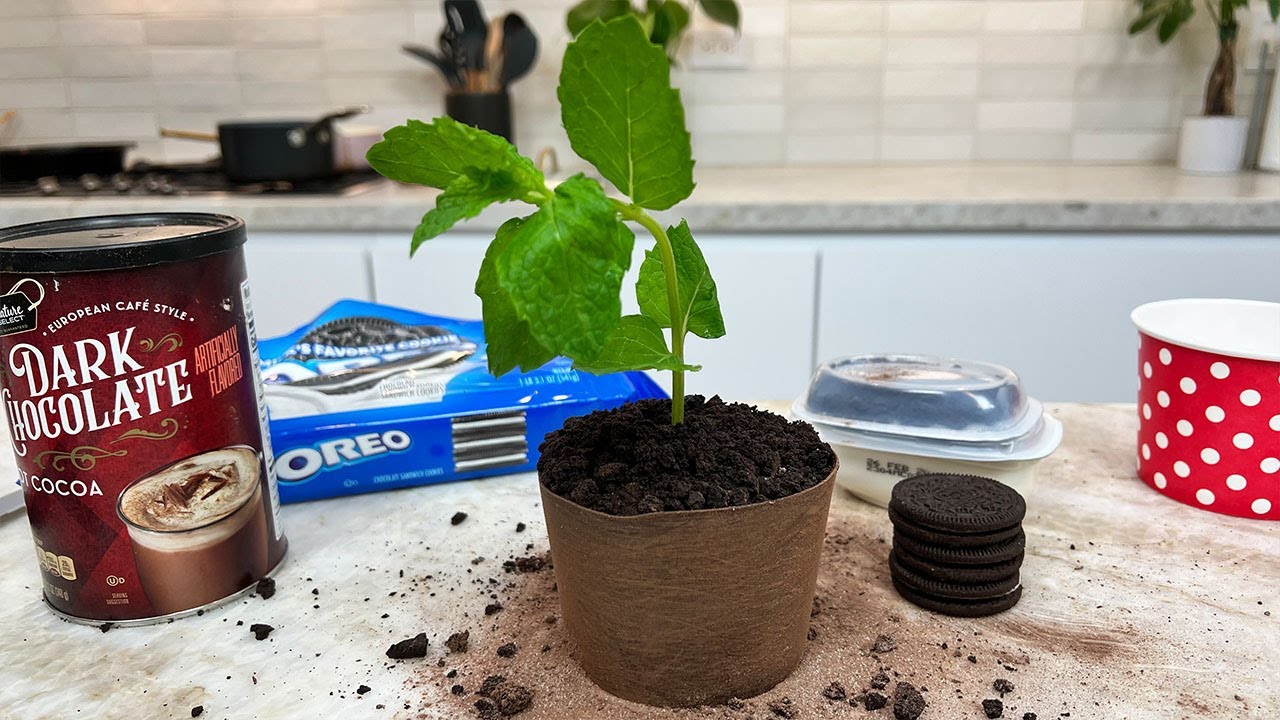 Chocolate Plant Pot