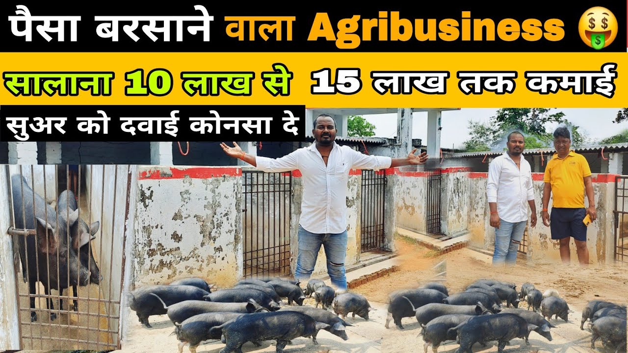 ये Pig Farming नही 🐖 ये पैसा Farming है🤑|| Best Agribusiness Idea || Rj farmer 2024