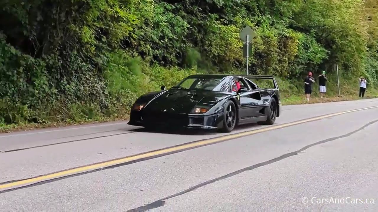 RARE Black Ferrari F40 | Cold Start & Street Rollout 🖤 #ferrari