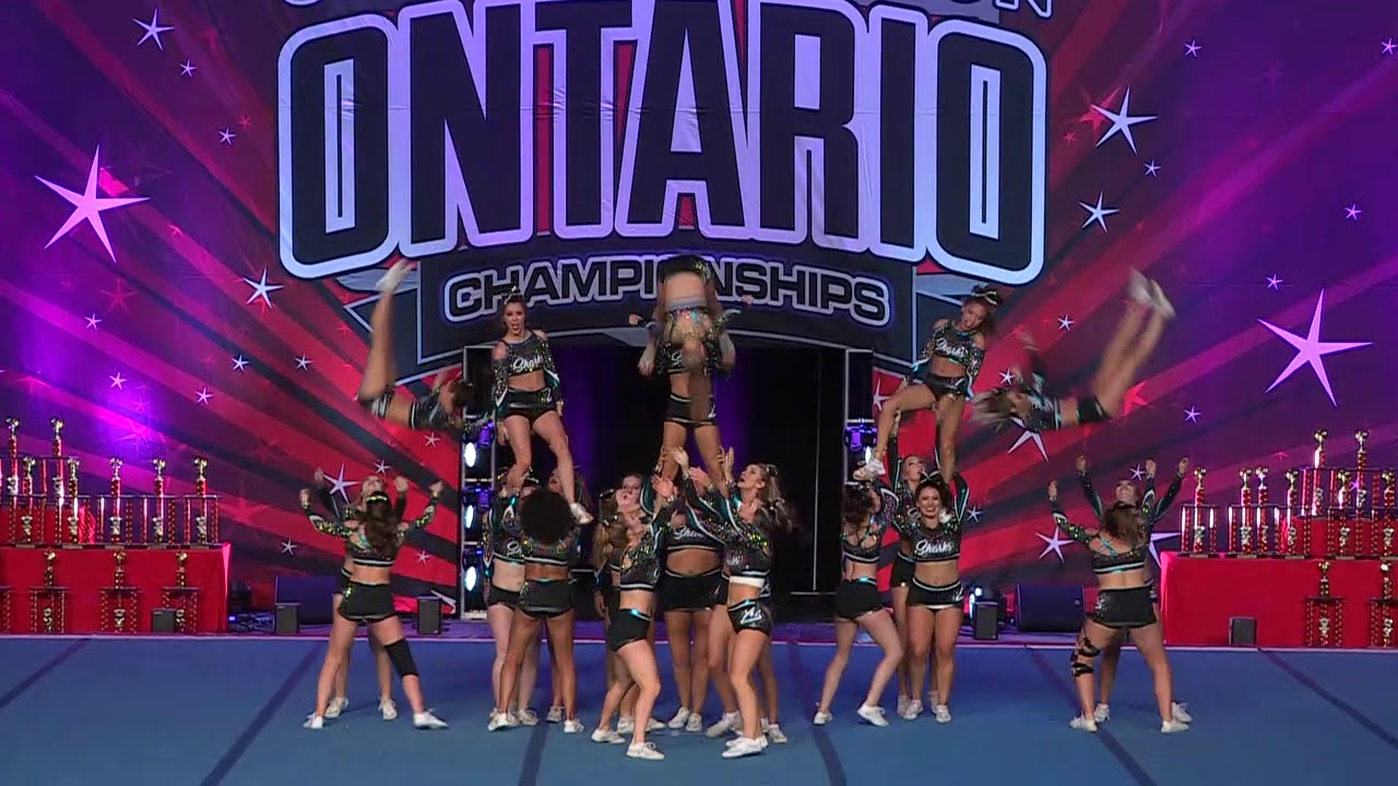 Cheer Sport Grey Reef Sharks   IASF Int'l Open 6 Run 1