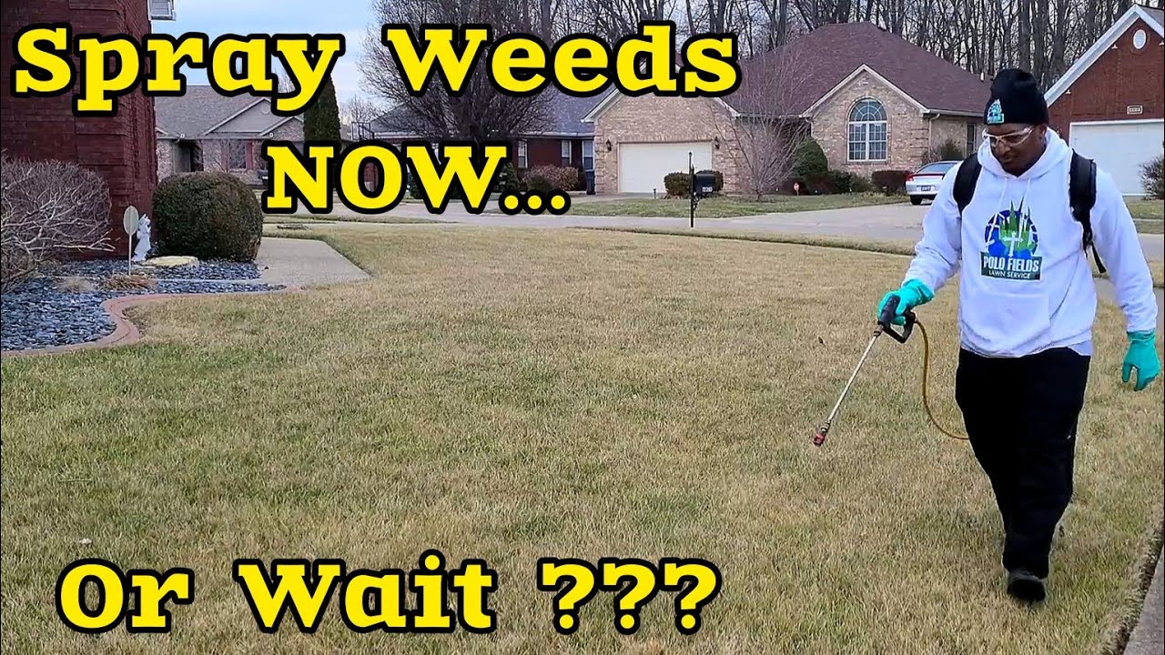 When to start SPRAYING Weeds in the SPRING