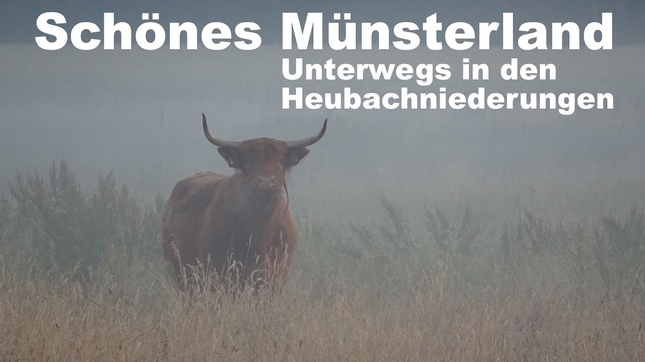Schönes Münsterland. Unterwegs in den Heubachniederungen