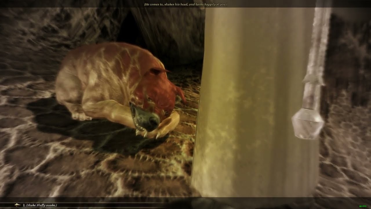 Dragon Age  Origins - Dog's Nightmare