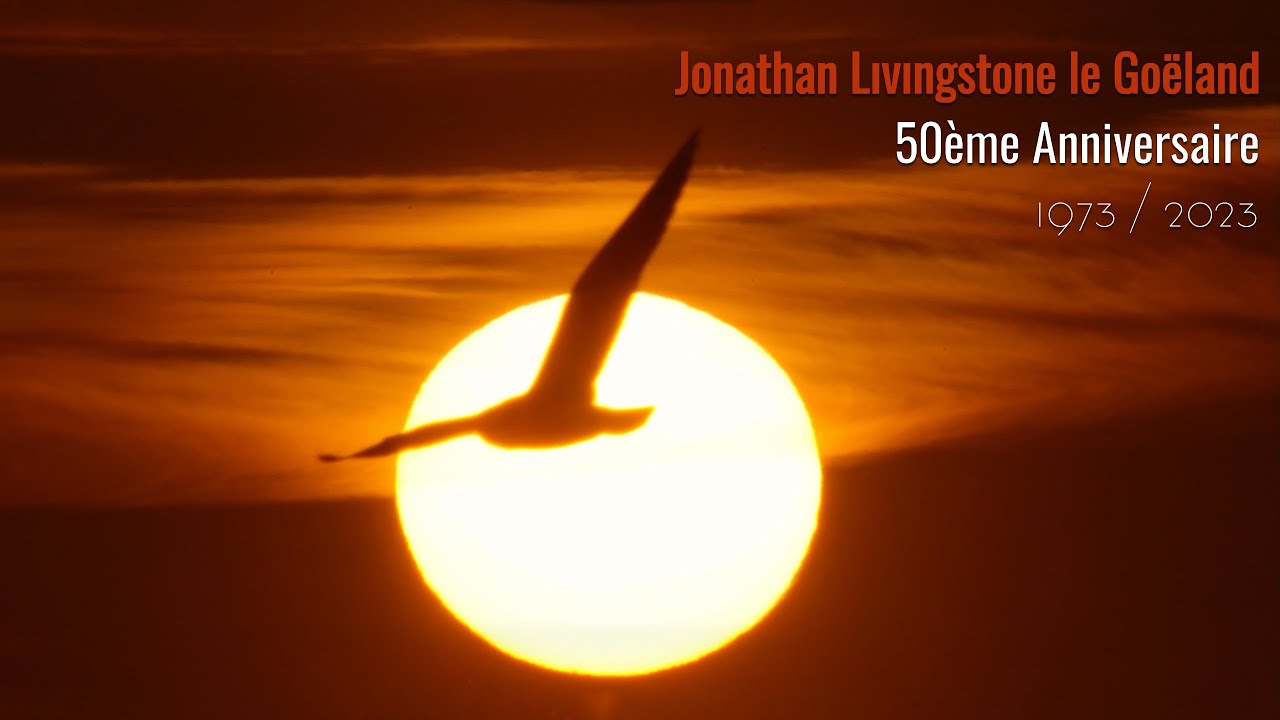 Jonathan Livingstone le Goëland par Neil Diamond | 50ème Anniversaire  1973 / 2023