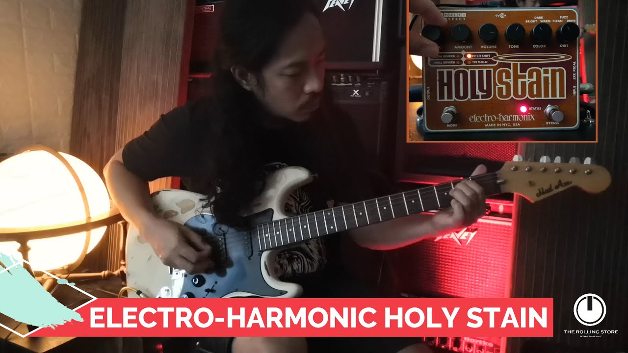 Electro Harmonix Holy Stain 🎱