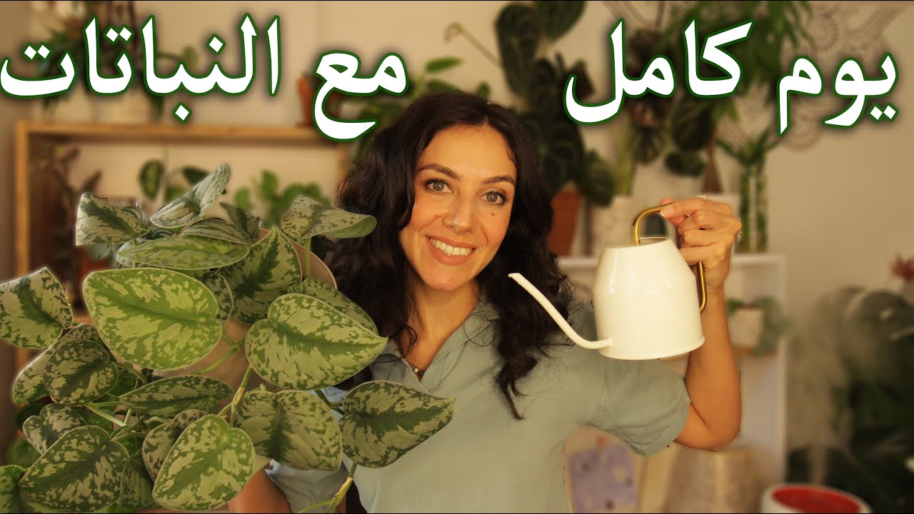 يوم العناية بالنباتات عناية شاملة: ترطيب +ري +تسميد + مسح الأوراق + علاج النباتات المريضة