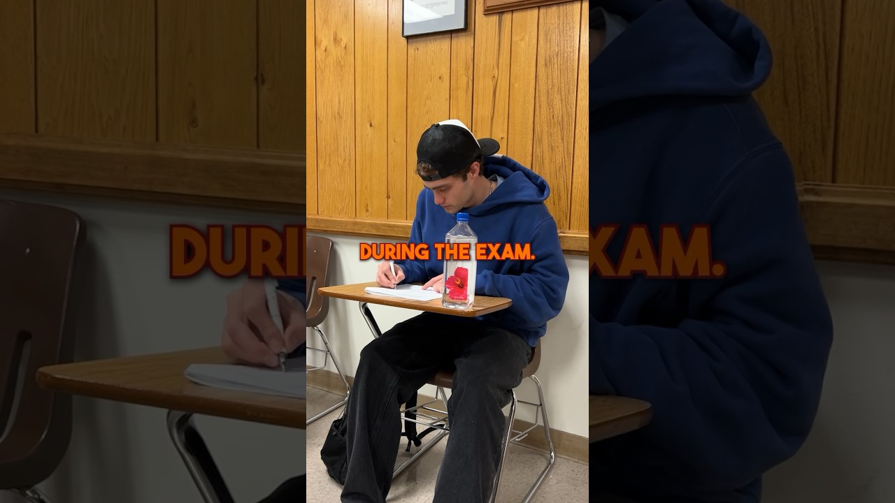 How to Ace an Exam WITHOUT Studying #shorts #school #study