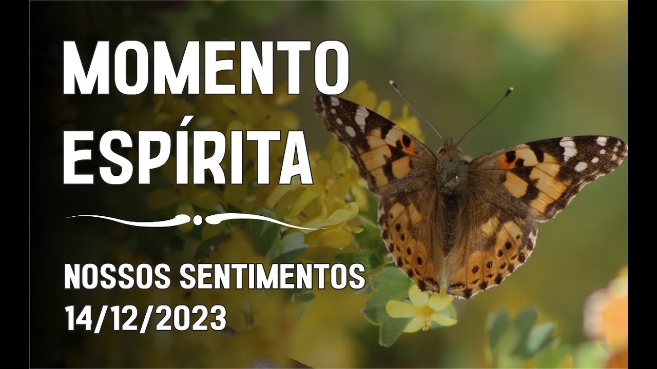 Momento Espírita - Nossos Sentimentos